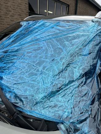 Suzuki Ignis 1.2 smart hybrid style picture 23