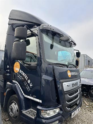 Schade vrachtwagen DAF LF 180 FA 2019/11