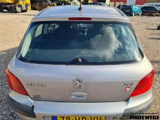 Peugeot 307 307 (3A/C/D), Hatchback, 2000 / 2009 1.6 16V picture 10