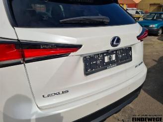 Lexus NX NX I (Z1), SUV, 2014 300h 2.5 16V 4x4 picture 31