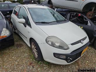 Purkuautot passenger cars Fiat Punto Punto Evo (199), Hatchback, 2009 / 2012 1.3 JTD Multijet 85 16V Euro 5 2011/11