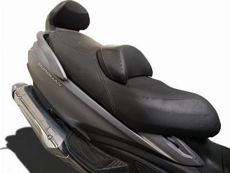 Suzuki  650 BURGMAN EXECUTIVE picture 9