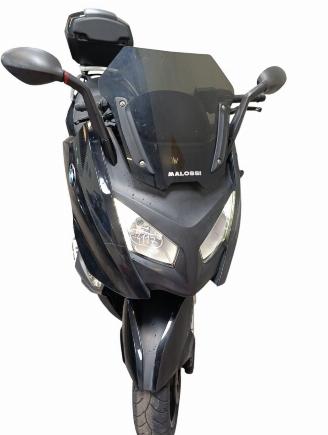 BMW C 650 SPORT picture 22