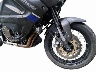 Yamaha XT 1200 TENERE picture 18