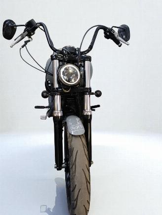 Harley-Davidson  STREET BOB picture 18