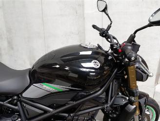 Benelli  S picture 19