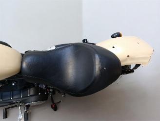 Harley-Davidson  IRON picture 14