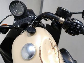 Harley-Davidson  IRON picture 16