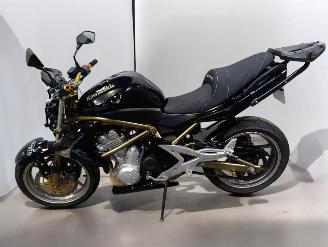 Kawasaki ER - 6 N  picture 16