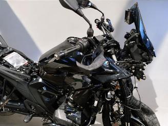 BMW  R 1300 GS picture 24