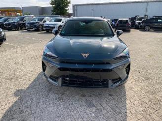 Cupra Formentor 1.5 TSI e-Hybrid picture 12