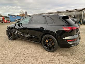 Audi E-tron 50 quattro S line *HEAD-UP - NAVI - KAM* picture 10