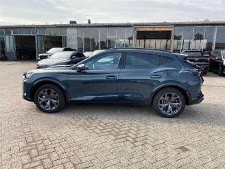 Cupra Formentor 1.5 TSI e-Hybrid picture 5