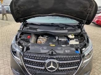 Mercedes AMG  picture 13