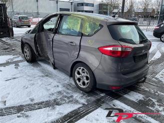 Ford C-Max C-Max (DXA), MPV, 2010 / 2019 1.6 TDCi 16V picture 3