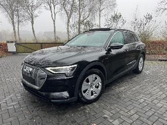 skadebil auto Audi E-tron Audi E-tron 55 Quattro S-Line Panorama Leder Trekhaak VOL 2021/9
