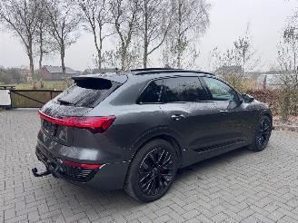 Audi Q8 Audi Q8 e-tron 55 Quattro S-line PANORAMA AHK Camera picture 9