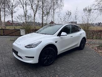krockskadad bil auto Tesla Model Y Tesla Model Y Long Range RWD PANORAMA Autopilot VOL 2024/11