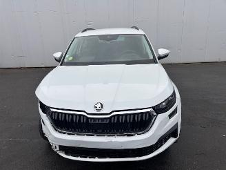 Skoda Karoq  picture 6