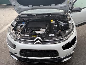 Citroën C4 cactus  picture 11