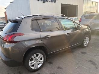 Peugeot 2008  picture 2