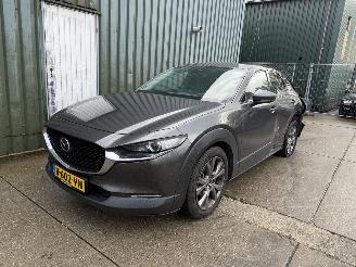 Avarii autoturisme Mazda CX-30 2.0 e-SkyActiv-X M Hybrid Luxury 2020/6