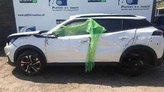 Peugeot 2008 2008 (UD/UK/UR/US/UX), MPV, 2019 1.2 VTi 12V PureTech 130 picture 1