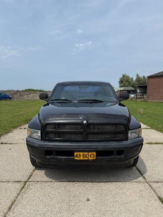 skadebil auto Dodge Ram Pick Up  1999/1