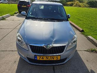  Skoda Fabia  2010/9