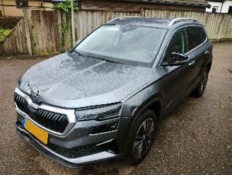 uszkodzony samochody osobowe Skoda Karoq 1.5 TSI ACT Business Edition Plus 2023/3