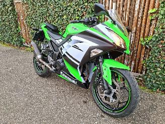 skadebil motor Kawasaki  Ninja 300 Anniversary Edition 2015/6