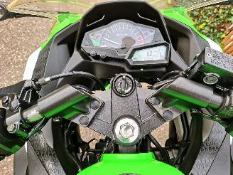 Kawasaki  Ninja 300 Anniversary Edition picture 19