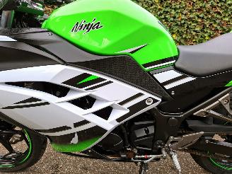 Kawasaki  Ninja 300 Anniversary Edition picture 12