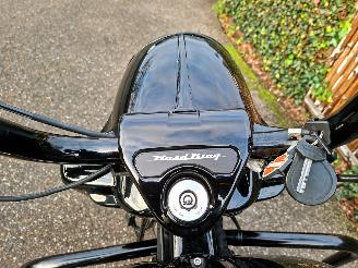 Harley-Davidson Road King 114 FLHRXS Road King Special 5HD Jekill & Hyde picture 20