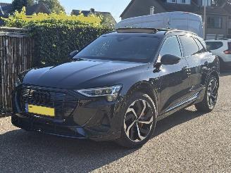 damaged passenger cars Audi E-tron 50 quattro S-LINE  PANORAMA VOLL 313 PK 71 kWh 2020/12
