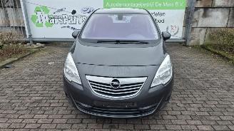 Coche accidentado Opel Meriva 1.4 Turbo 16V LPG ecoFLEX MPV   1.364cc 88kW (120pk) FWD 2011-06/2013-10  A14NEL 2012/1
