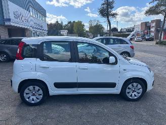 Fiat Panda  picture 6