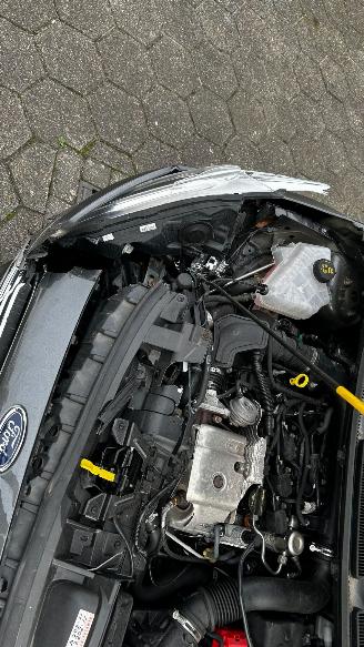 Ford Fiesta  picture 10