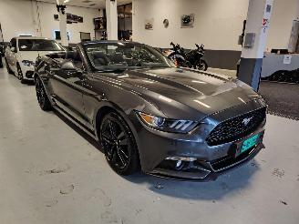 Ford Mustang  picture 1