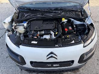 Citroën C4 cactus  picture 19