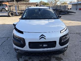 Citroën C4 cactus  picture 20