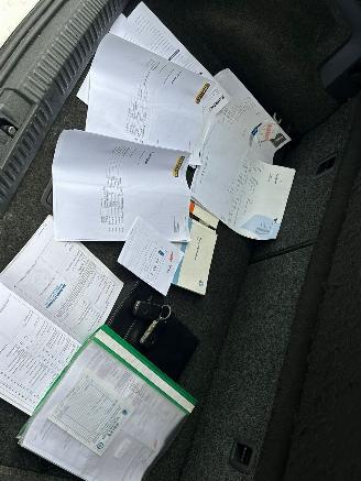 Volkswagen Polo  picture 16