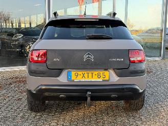 Citroën C4 cactus 1.2 PureTech NAP picture 5