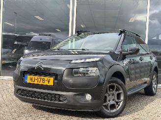 Citroën C4 cactus 1.2 PureTech Shine picture 8