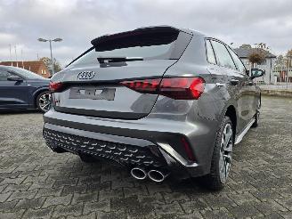 Audi S3 quattro 245 Kw picture 14