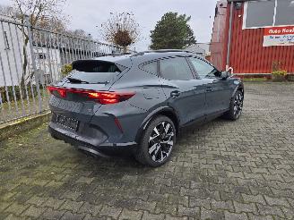 Auto incidentate Cupra Formentor VZ 245 kW 2025/9