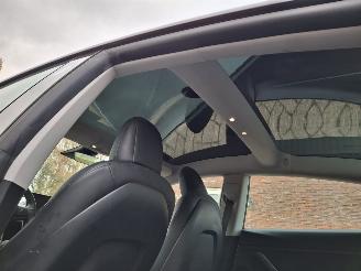 Tesla Model 3 rdw plus  60kwh   navi pano picture 8