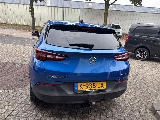 Opel Grandland X 1.2 Turbo Business Edition GEEN SCHADE PROBLEEM TURBO picture 5
