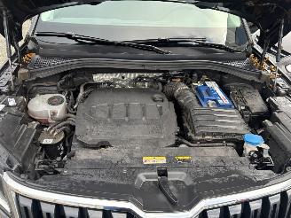 Skoda Kodiaq 2.0 TDI picture 18