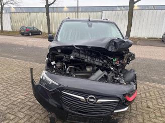 Opel Combo Combo Cargo, Van, 2018 1.6 CDTI 100 picture 5